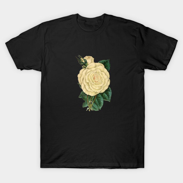 Vintage Rose - Vintage Rose - T-Shirt | TeePublic UK